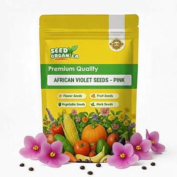 African Violet Seeds – Pink