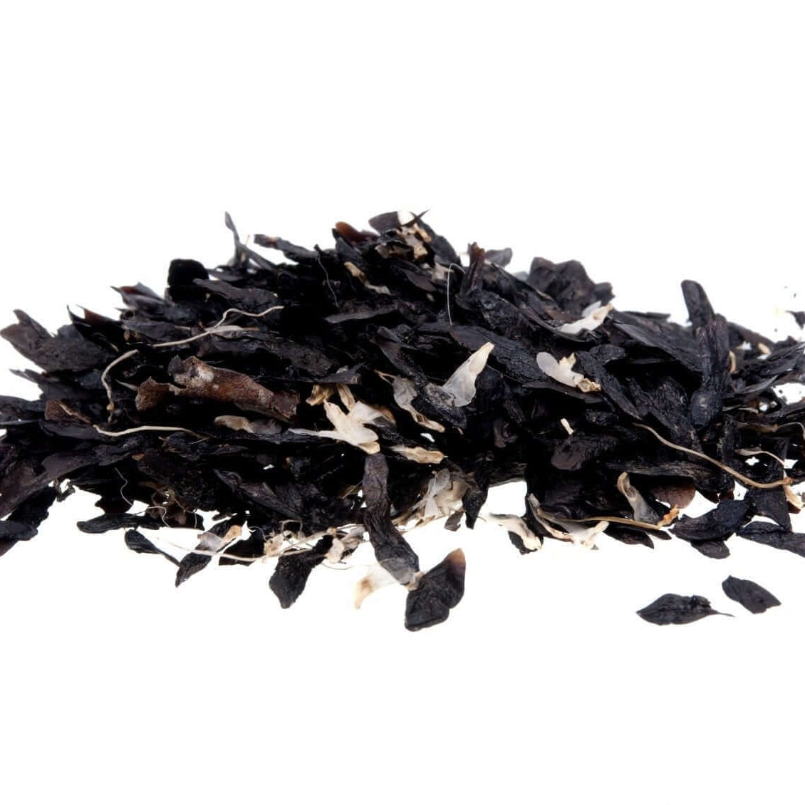 Agapanthus Seeds