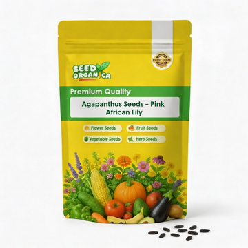 Agapanthus Seeds – Pink African Lily