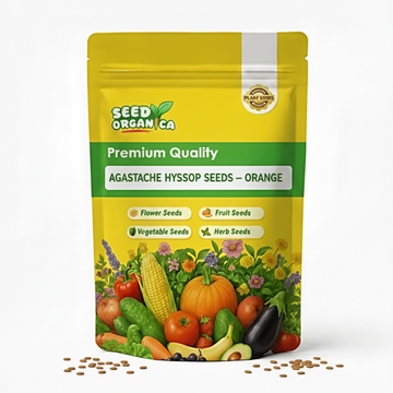 Agastache Hyssop Seeds – Orange