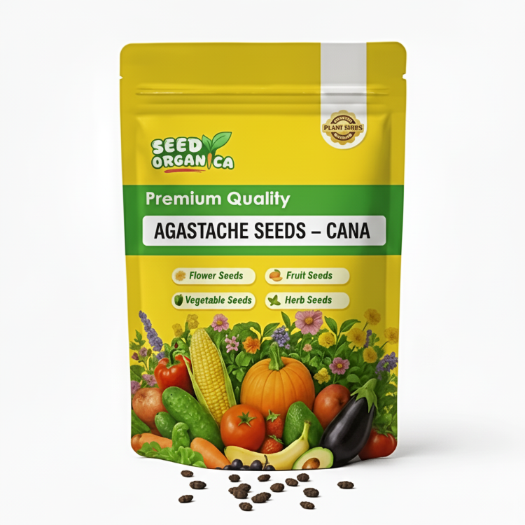 Agastache Seeds – Cana