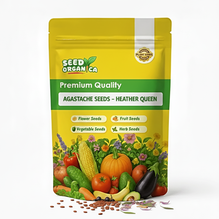 Agastache Seeds – Heather Queen