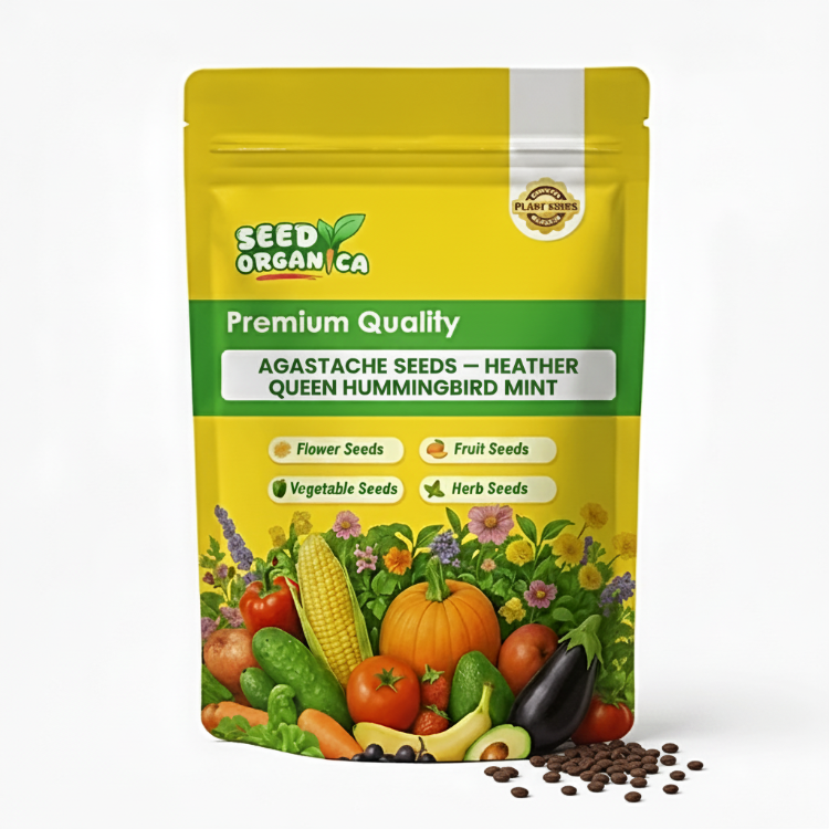 Agastache Seeds – Heather Queen Hummingbird Mint
