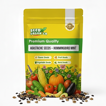 Agastache Seeds – Hummingbird Mint
