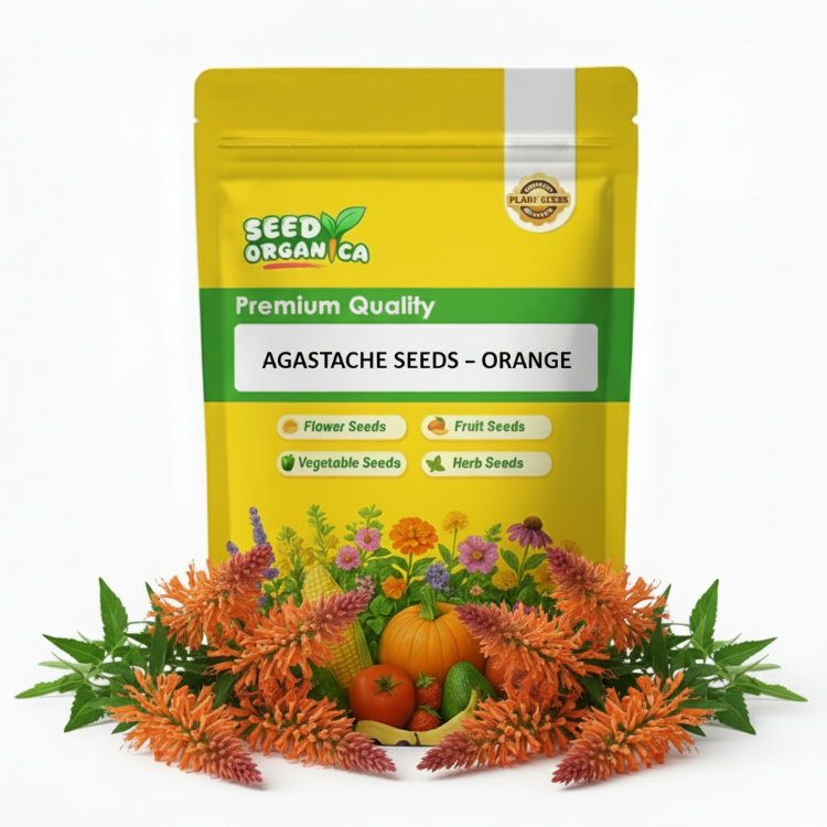 Agastache Seeds – Orange