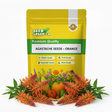 Agastache Seeds – Orange Hyssop