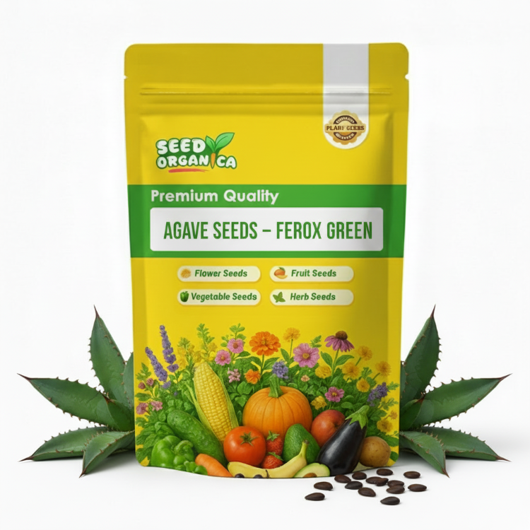 Agave Seeds – Ferox Green