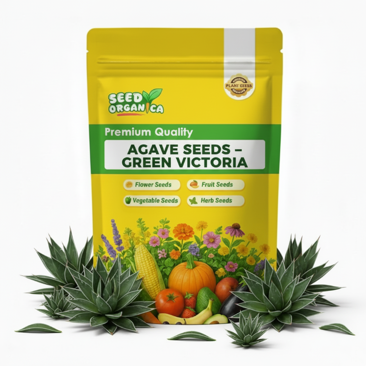 Agave Seeds – Green Victoria