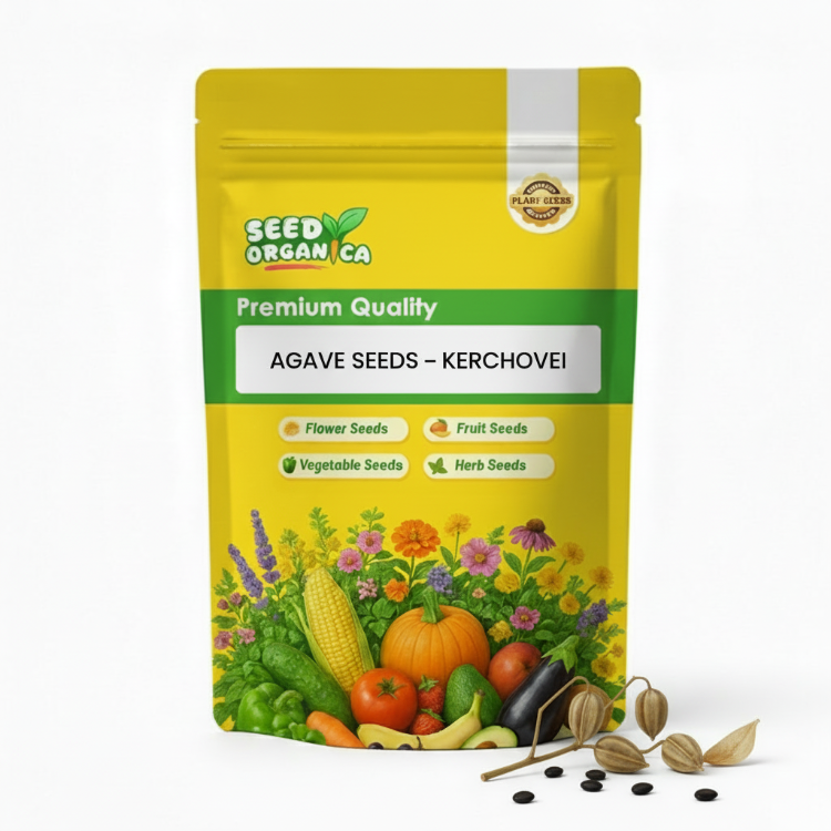 Agave Seeds – Kerchovei