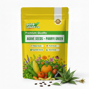 Agave Seeds – Parryi Green
