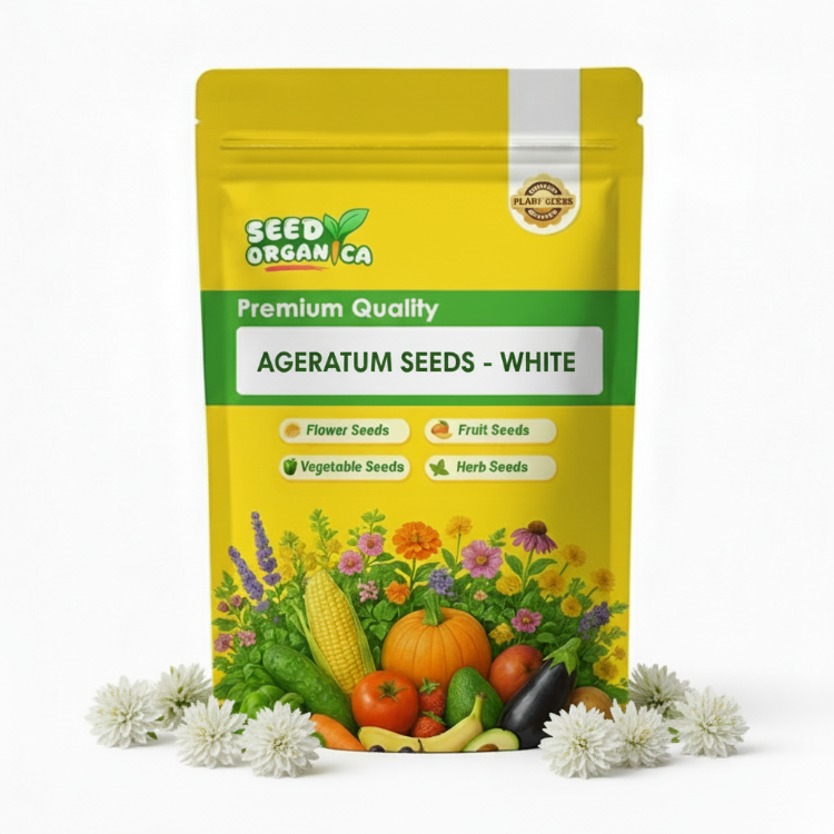 Ageratum Seeds - White