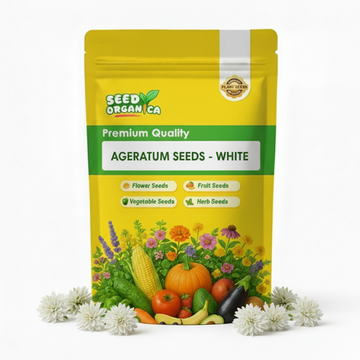 Ageratum Seeds - White