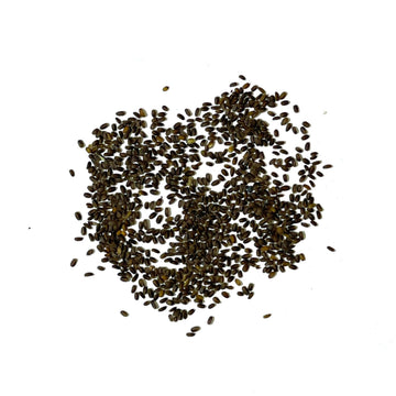 Ageratum Seeds 