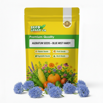 Ageratum Seeds – Blue Mist Hardy