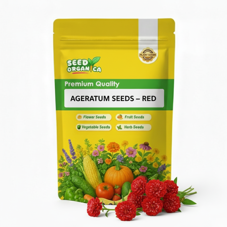 Ageratum Seeds – Red