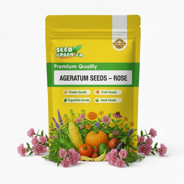 Ageratum Seeds – Rose