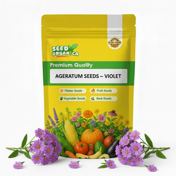 Ageratum Seeds – Violet