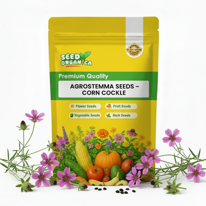 Agrostemma Seeds – Corn Cockle