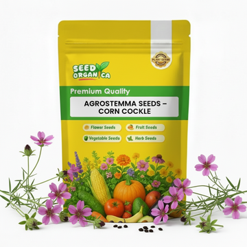 Agrostemma Seeds – Corn Cockle