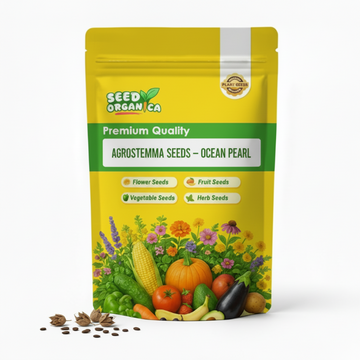 Agrostemma Seeds – Ocean Pearl