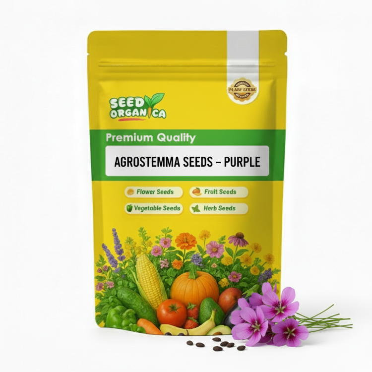 Agrostemma Seeds – Purple