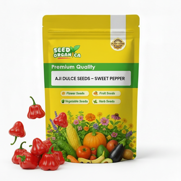 Aji Dulce Seeds – Sweet Pepper