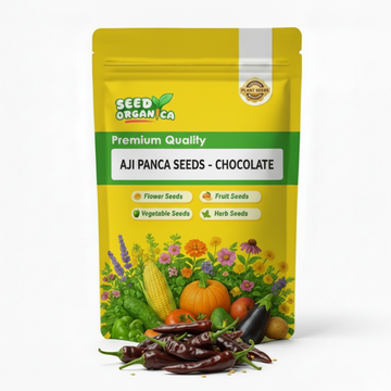 Aji Panca Seeds - Chocolate