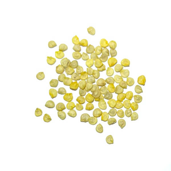 Aka Chapeau Pepper Seeds
