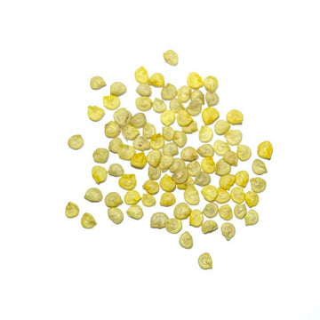Aka Chapeau Pepper Seeds