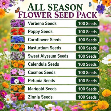 All Season Flower Seed Pack