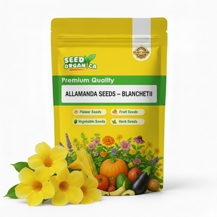 Allamanda Seeds – Blanchetii
