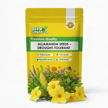 Allamanda Seeds – Drought-Tolerant