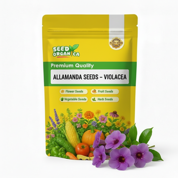 Allamanda Seeds – Violacea