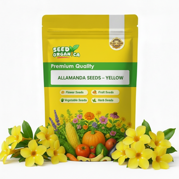 Allamanda Seeds – Yellow
