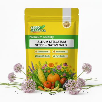 Allium Stellatum Seeds –  Native Wild