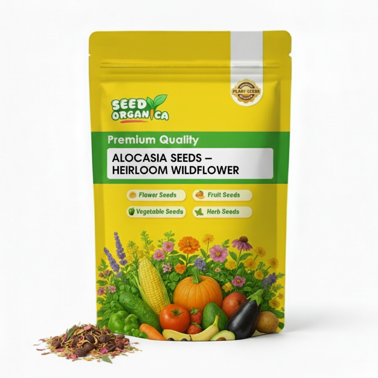 Alocasia Seeds – Heirloom Wildflower