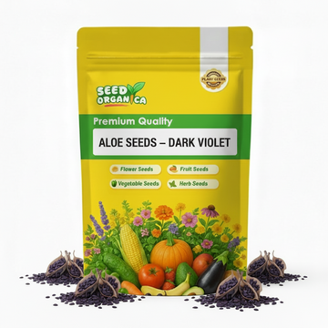Aloe Seeds – Dark Violet