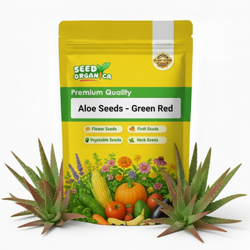 Aloe Seeds – Green Red