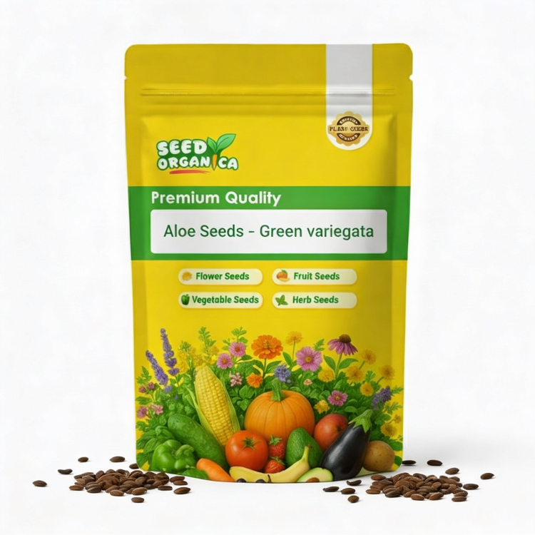 Aloe Seeds – Green variegata