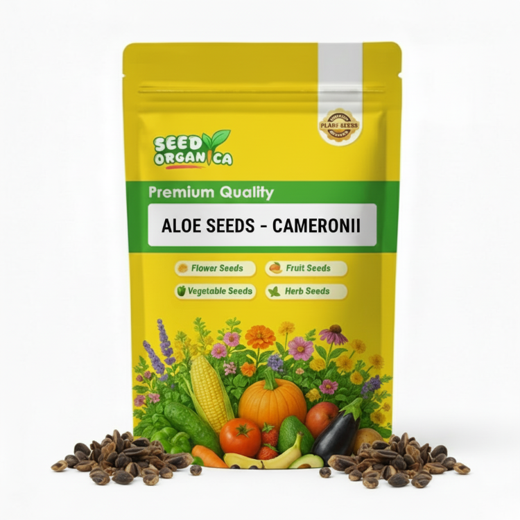 Aloe Seeds – cameronii