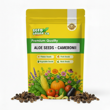 Aloe Seeds – cameronii