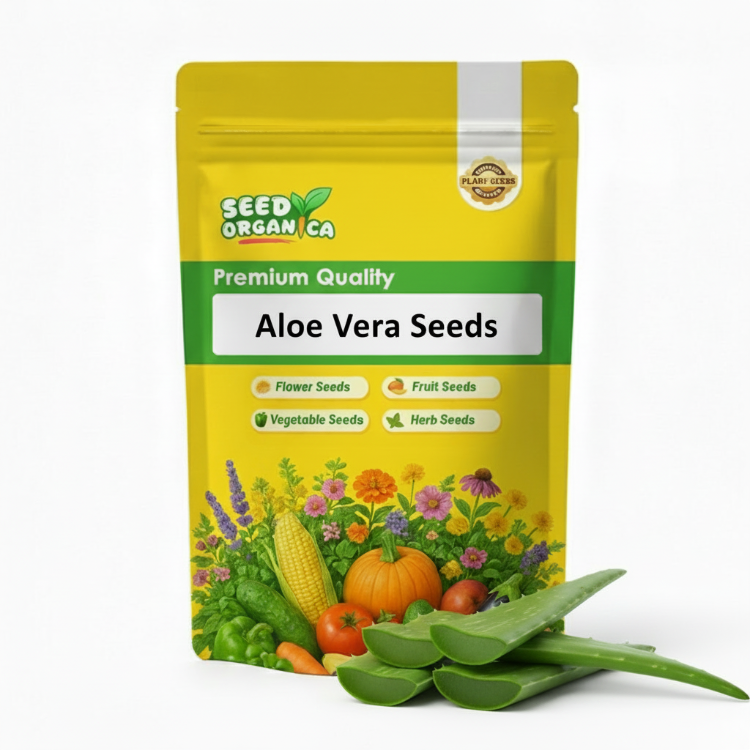 Aloe Vera Seeds