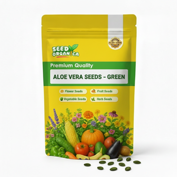 Aloe Vera Seeds – Green