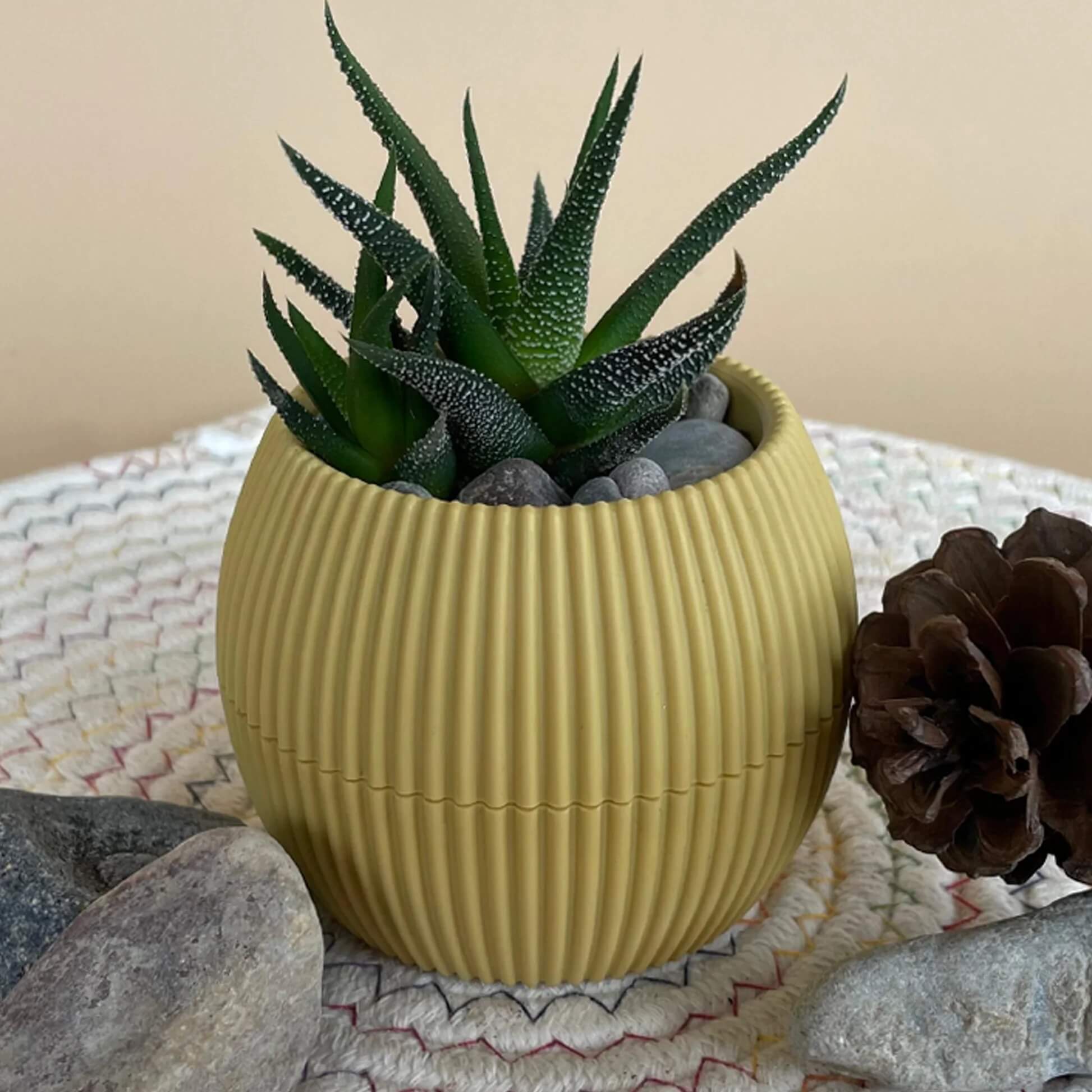 Aloe Vera Seeds for Planting