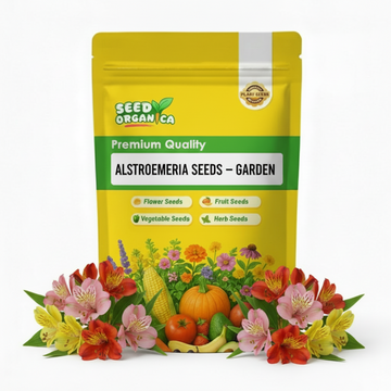 Alstroemeria Seeds – Garden