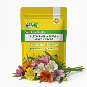 Alstroemeria Seeds – Mixed Colors