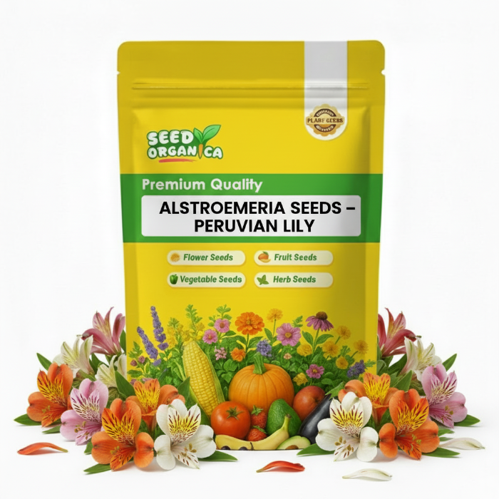 Alstroemeria Seeds – Peruvian Lily
