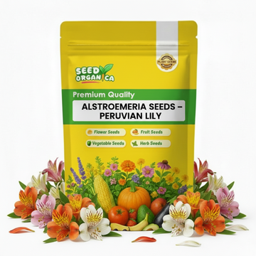 Alstroemeria Seeds – Peruvian Lily