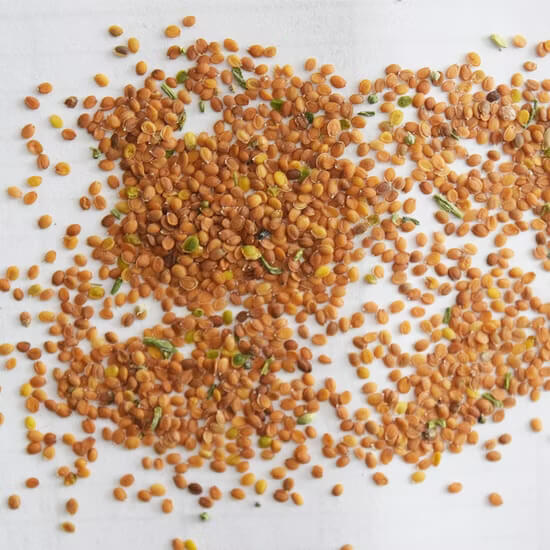 Alyssum Seeds