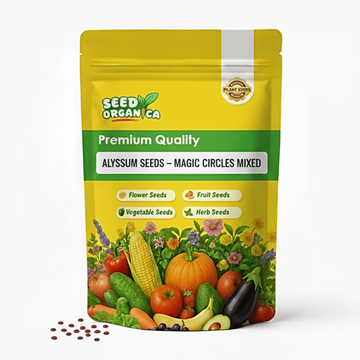 Alyssum Seeds – Magic Circles Mixed